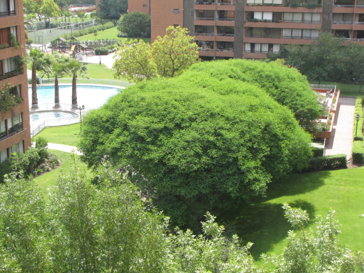 Arriendo Departamento NP 2D en suite 2B 1E 1B La Llaver&iacute;a - Vitacura