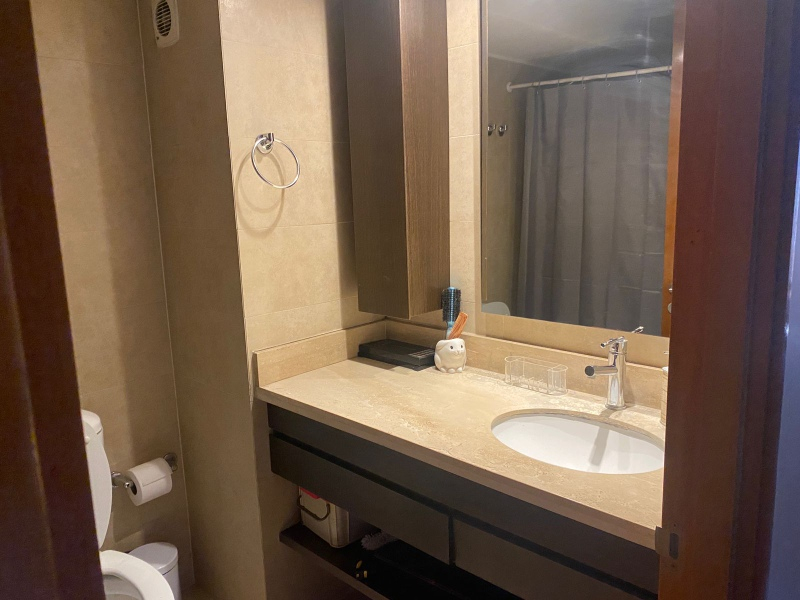 Arriendo Departamento 4D 4B 2E Parque Bicentenario - Vitacura