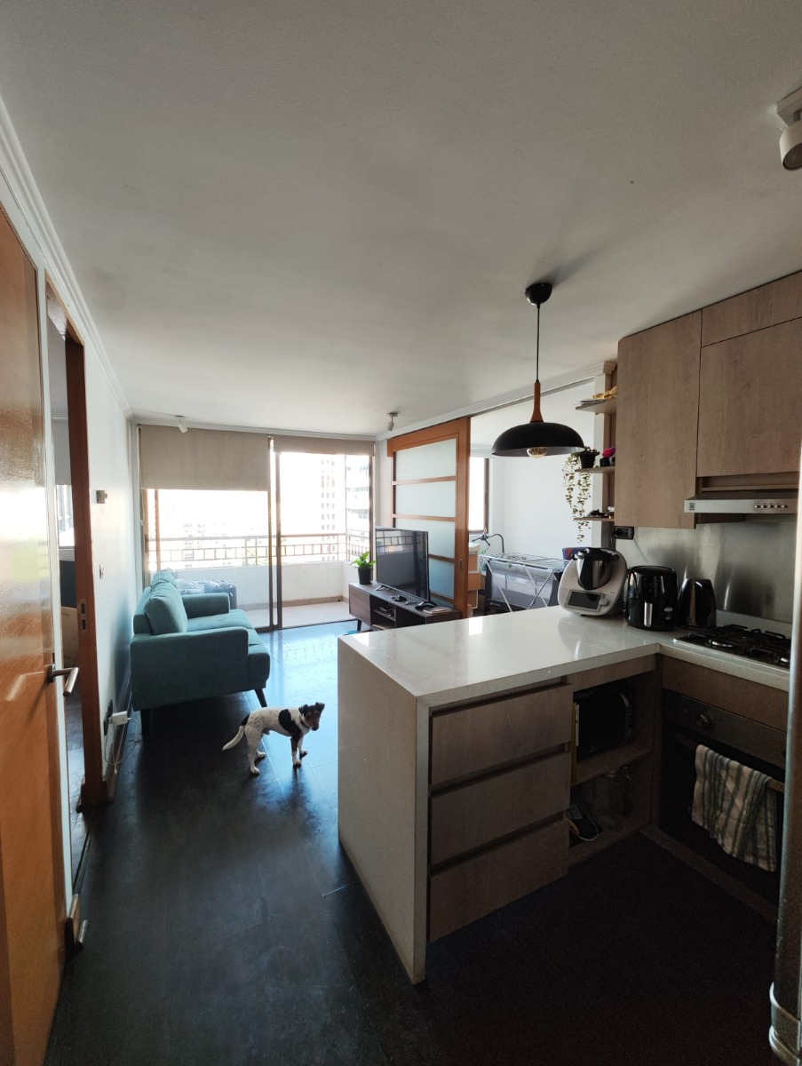Arriendo Departamento SO 2D 2B 1E Pedro de Valdivia - Providencia