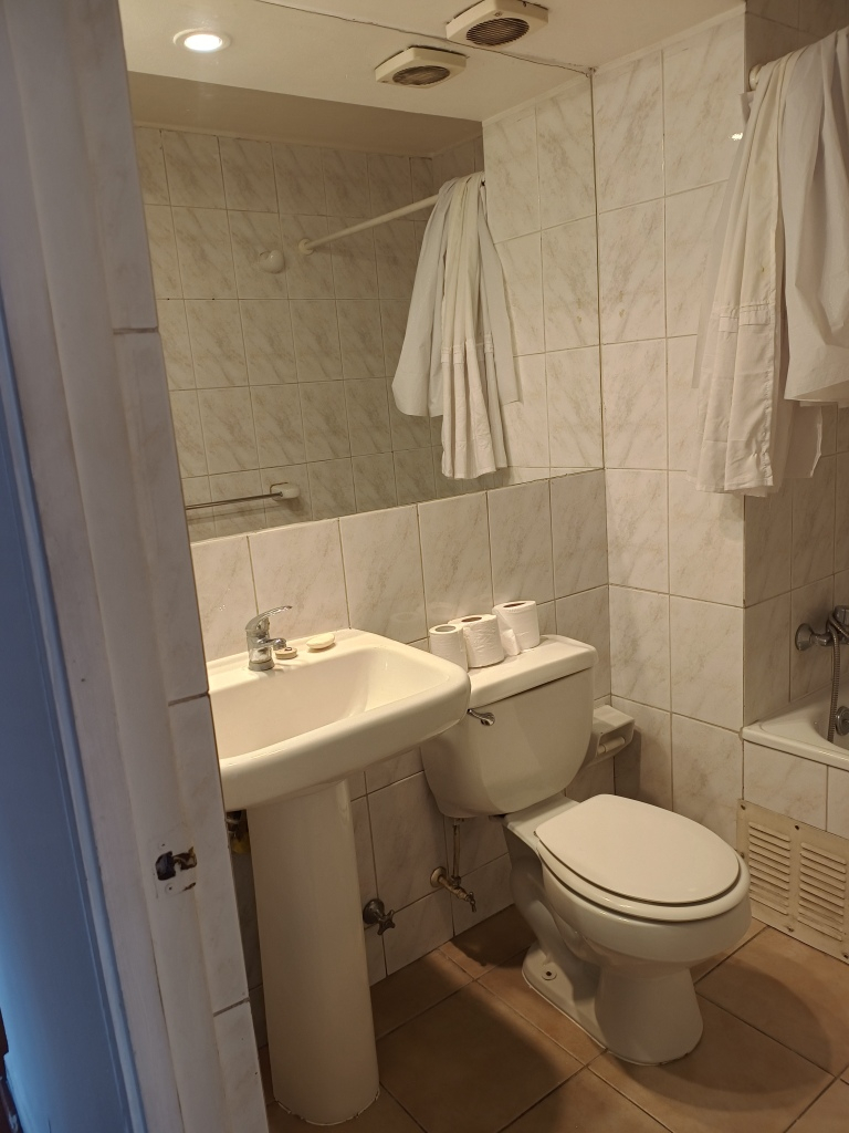 Arriendo Departamento 3D Campus Oriente - Providencia