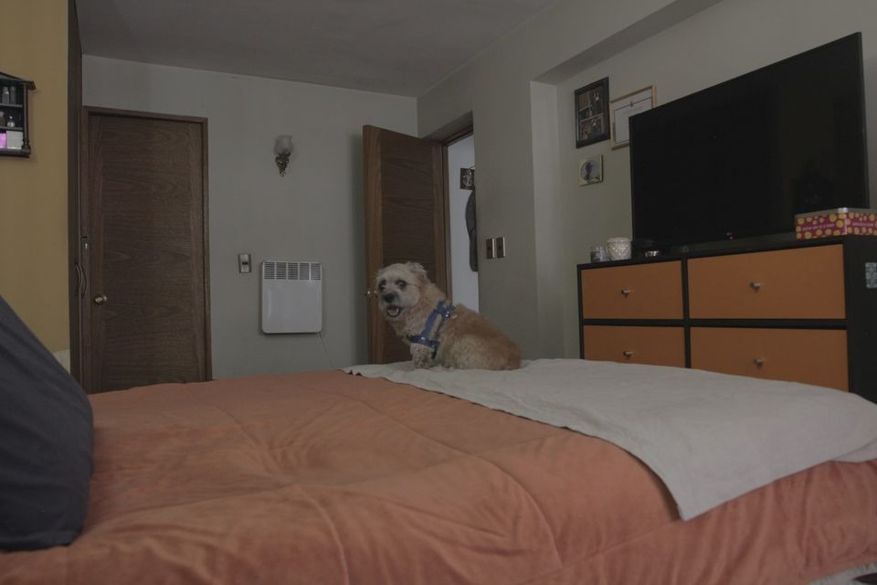 Arriendo Departamento SP 2D 2B 1E Metro Manquehue - Apumanque - Las Condes