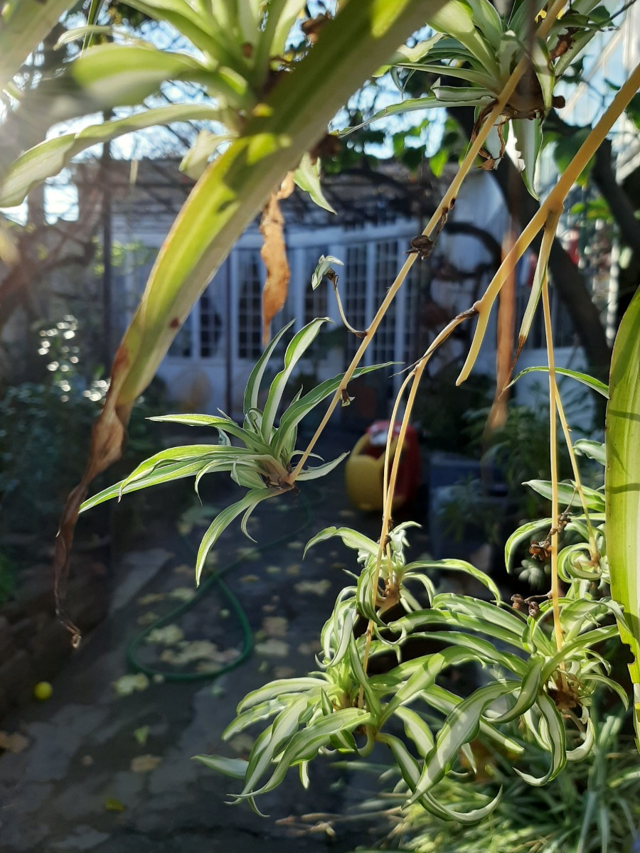 Venta Casa 3D Barrio Italia - Providencia