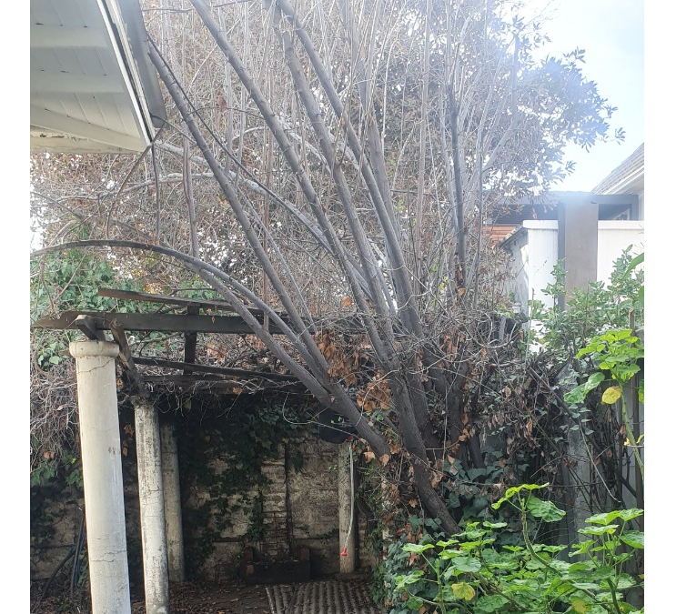 Venta Casa NOSP 5D 3B 3E 1B Campus Oriente - Providencia