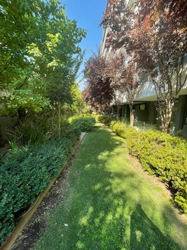 Arriendo Departamento P 1D en suite Walk-in cl&oacute;set 1B 1E 1B San Dami&aacute;n - Las Condes