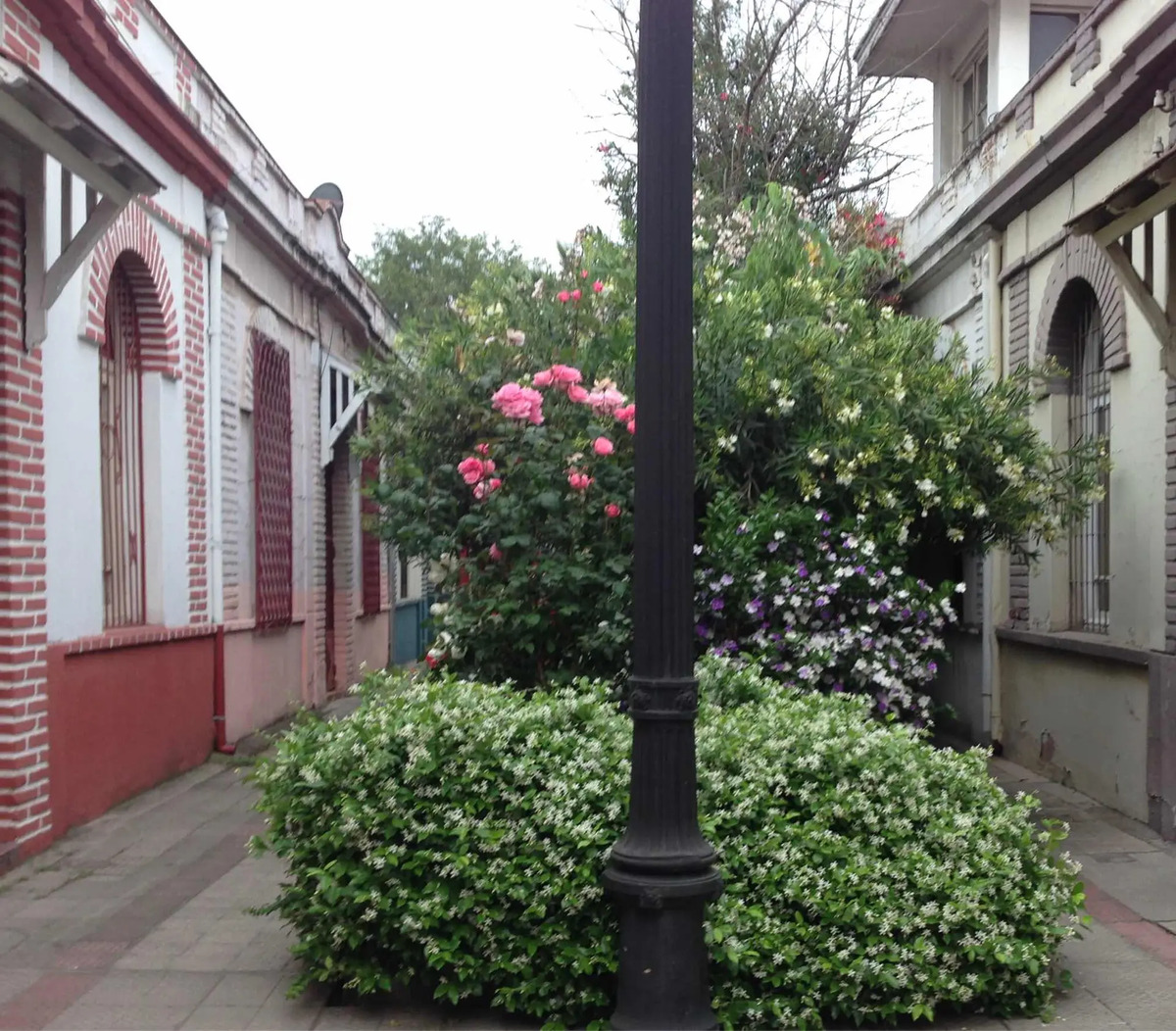 Arriendo Casa 1D Bellavista - Providencia