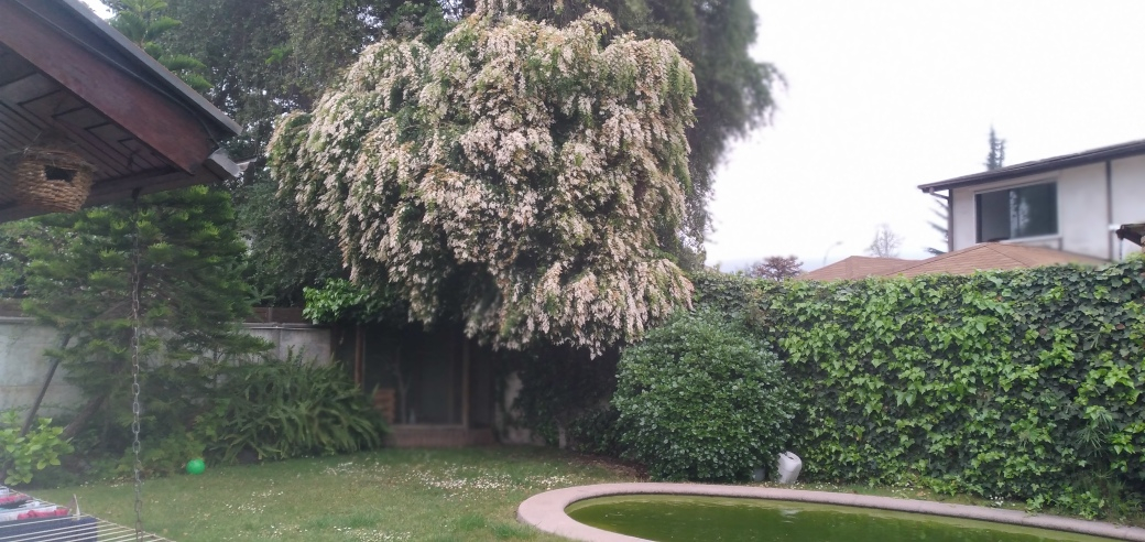 Venta Casa 5D 4B 2E Estadio Croata - Vitacura