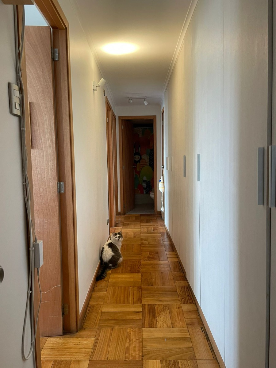 Arriendo Departamento SP 3D 2B  - Providencia