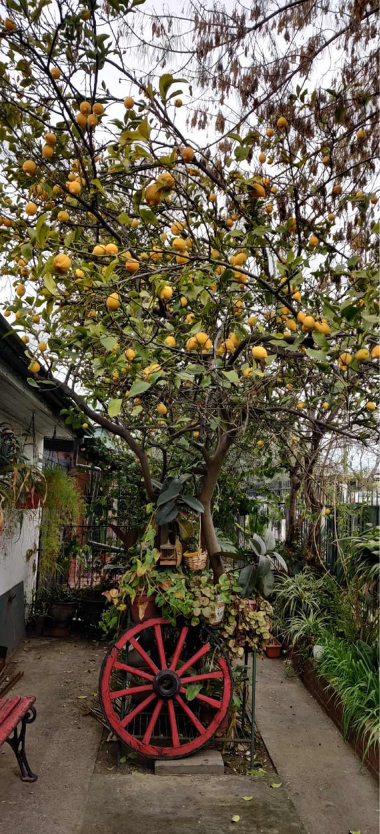 Venta Casa 3D 1B 2E Las Lilas - Providencia