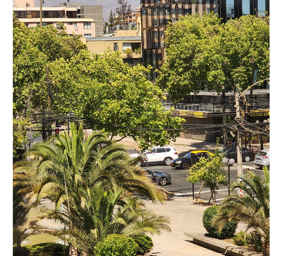 Venta Departamento O 2D en suite Walk-in cl&oacute;set 2B 1E 1B Pedro de Valdivia - Providencia