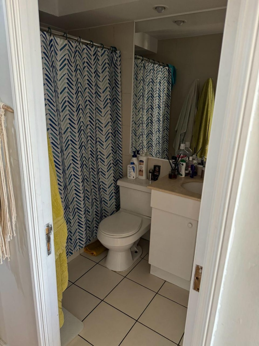 Arriendo Departamento 2D Barrio Italia - Providencia