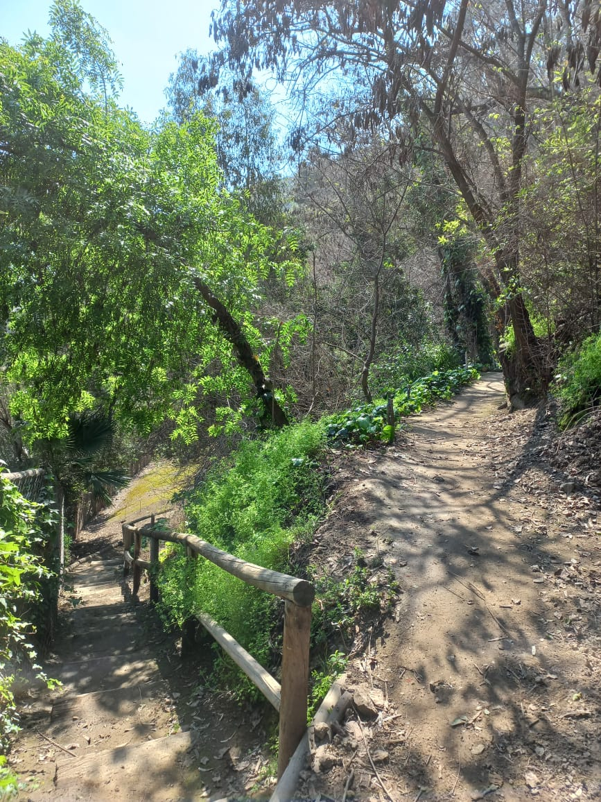 Venta Departamento 3D 3B 1E Las Lilas - Providencia