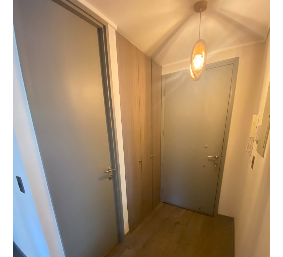 Arriendo Departamento P 3D en suite Walk-in cl&oacute;set 3B 1E 1B In&eacute;s de Su&aacute;rez - Providencia