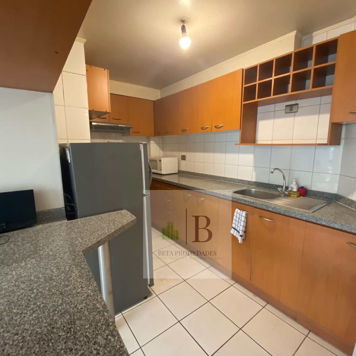 Venta Departamento N 1D en suite Walk-in cl&oacute;set 1B 1E 1B Campus Oriente - Providencia