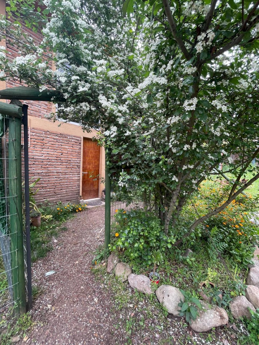 Arriendo Casa 1D en suite 1B 1E La Reina Alta - La Reina