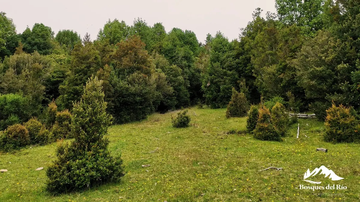 Parcela Bosque Nativo y R&iacute;o con Rol propio 5000m - Puerto Varas
