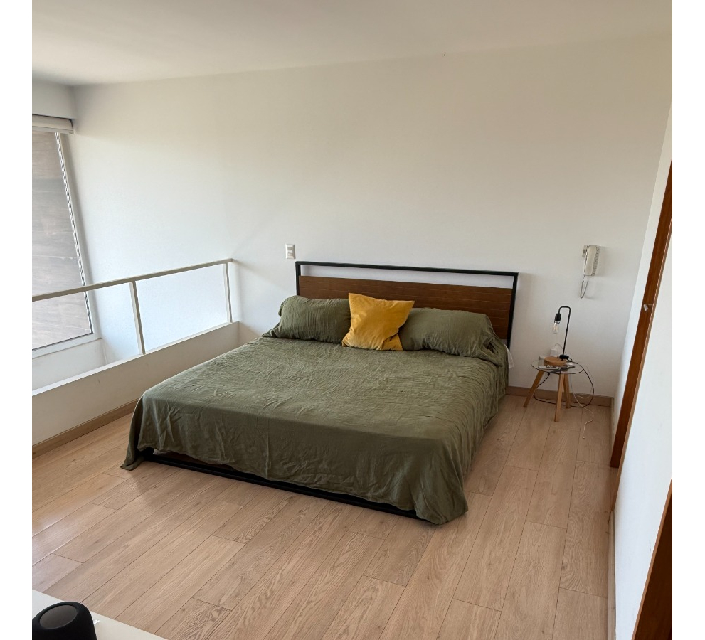Arriendo Departamento 1D 2B 1E 1B Metro Bilbao - Providencia