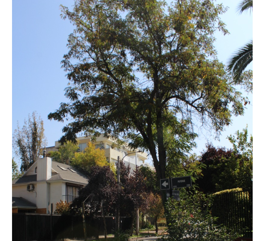 Arriendo Departamento NO 4D en suite 4B 1E In&eacute;s de Su&aacute;rez - Providencia