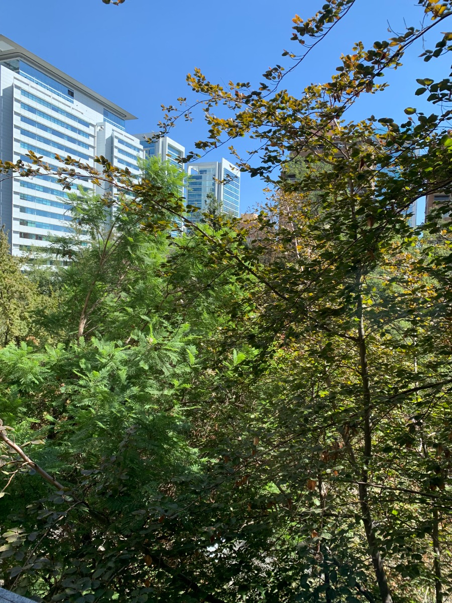 Arriendo Departamento NOSP 4D en suite Walk-in cl&oacute;set 4B 2E 1B Barrio El Golf - Las Condes