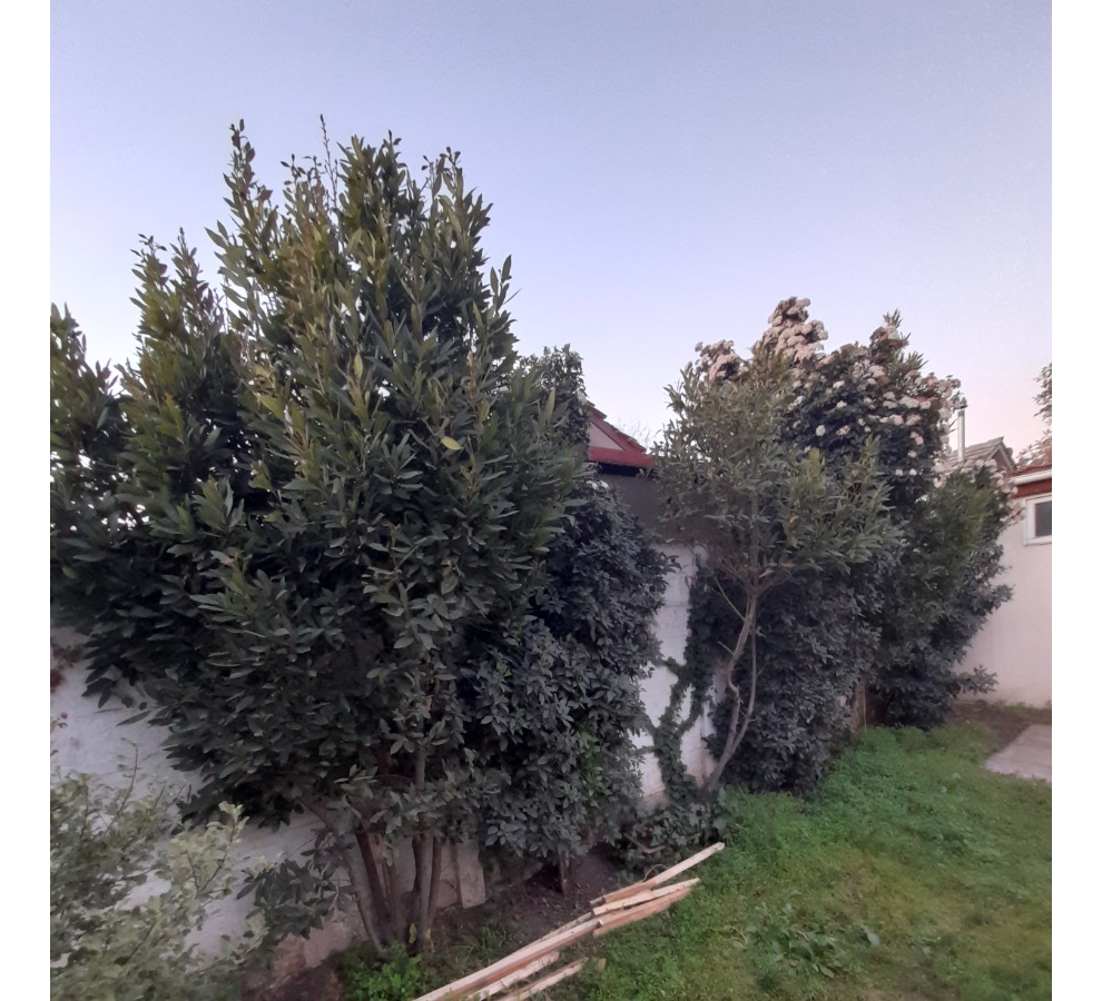 Venta Casa 4D 3B 2E Rotonda Atenas - Las Condes