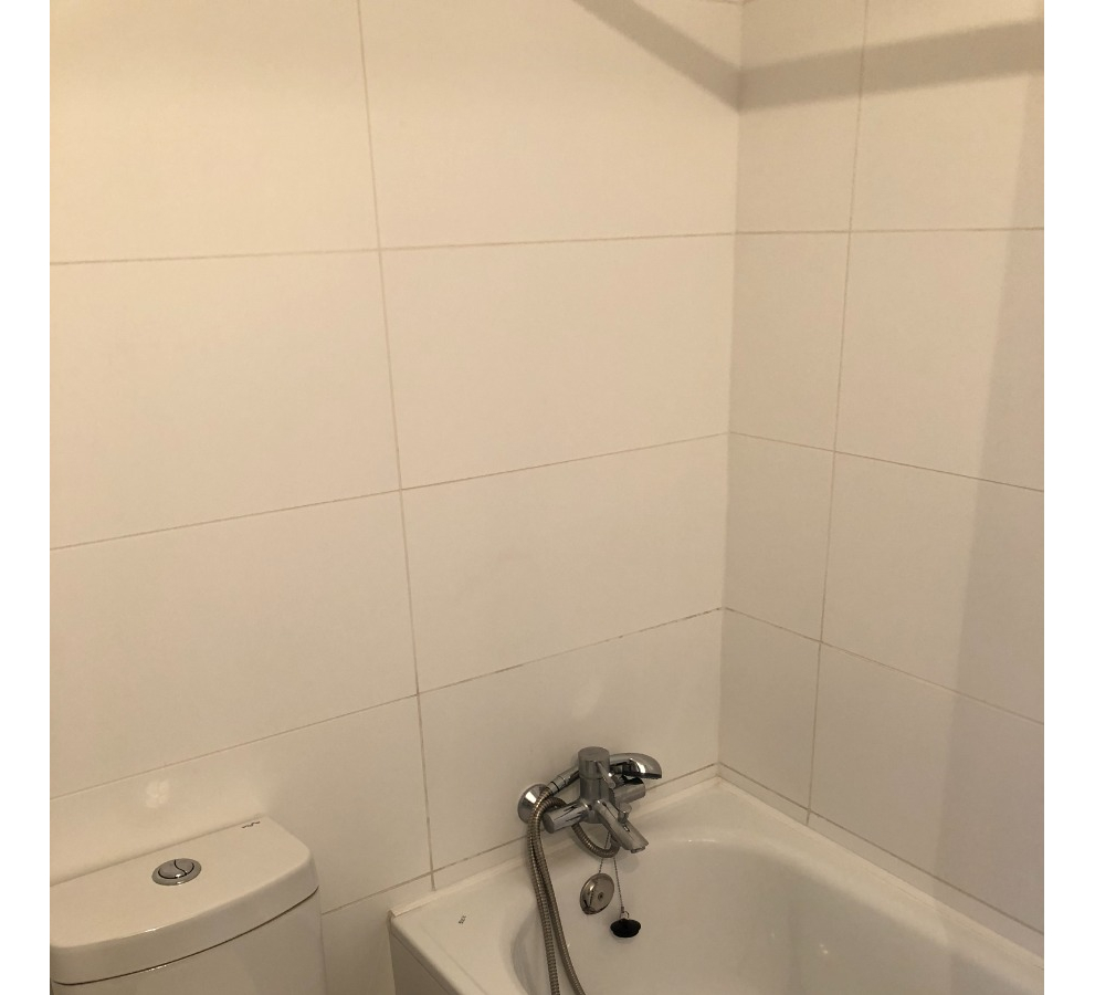 Arriendo Departamento S 2D en suite Walk-in cl&oacute;set 2B 2E 1B In&eacute;s de Su&aacute;rez - Providencia