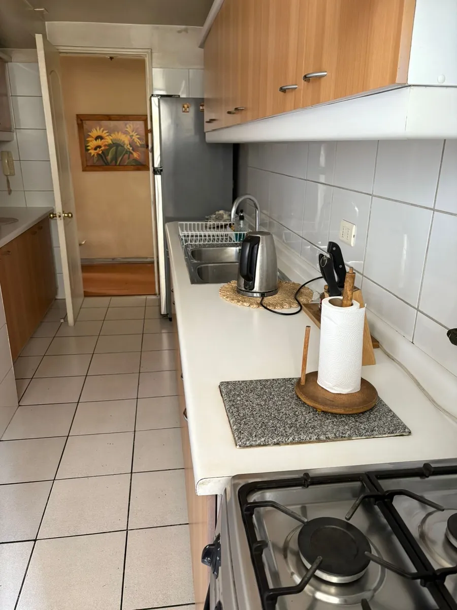  Venta Departamento O 3D 2B 1E Parque San Eugenio - Metro Ñuble - Ñuñoa