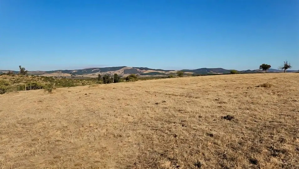 Venta Terreno 21 hectarias - Cauquenes, Maule