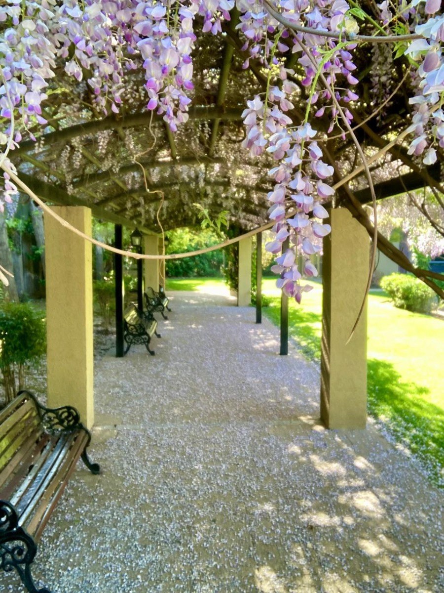 Arriendo Departamento O 2D 2B 1E 1B Barrio Italia - Providencia