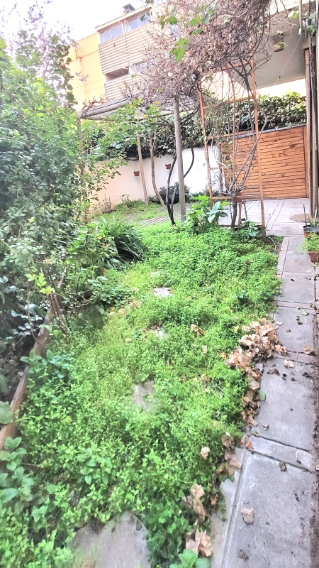 Venta Departamento 3D 2B 1E Carlos Ossand&oacute;n - La Reina