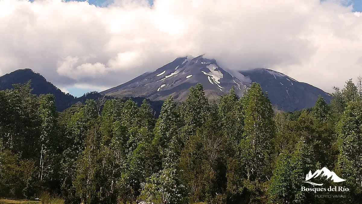 Parcela Bosque Nativo y R&iacute;o con Rol propio 5000m - Puerto Varas
