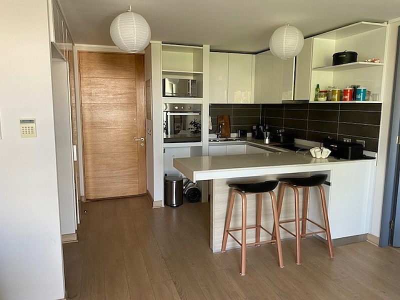 Arriendo Departamento 2D In&eacute;s de Su&aacute;rez - Providencia