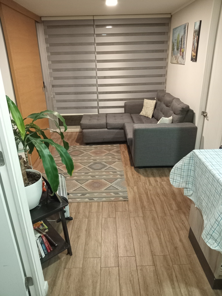 Venta Departamento 2D 2B 1E Estadio Nacional - &Ntilde;u&ntilde;oa