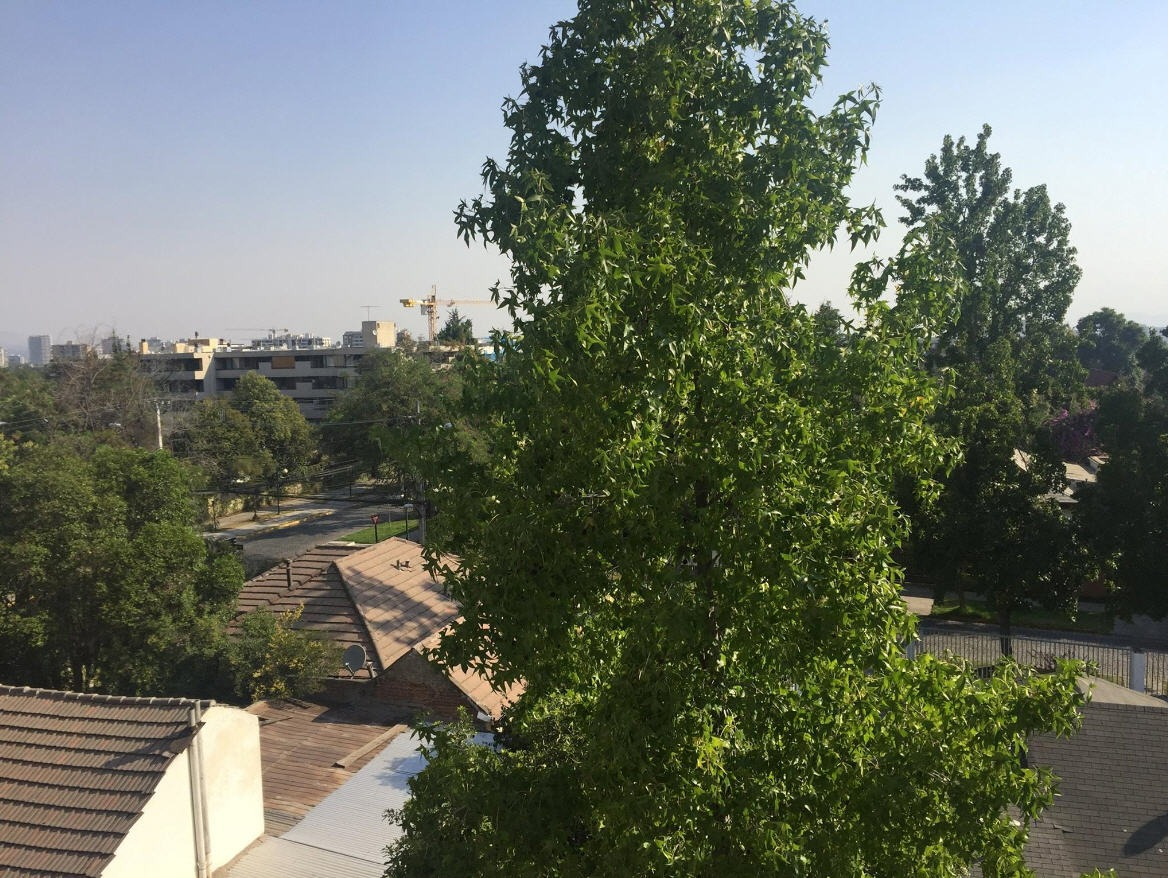 Arriendo Departamento 2D 2B 1E 1B Diego de Almagro - &Ntilde;u&ntilde;oa