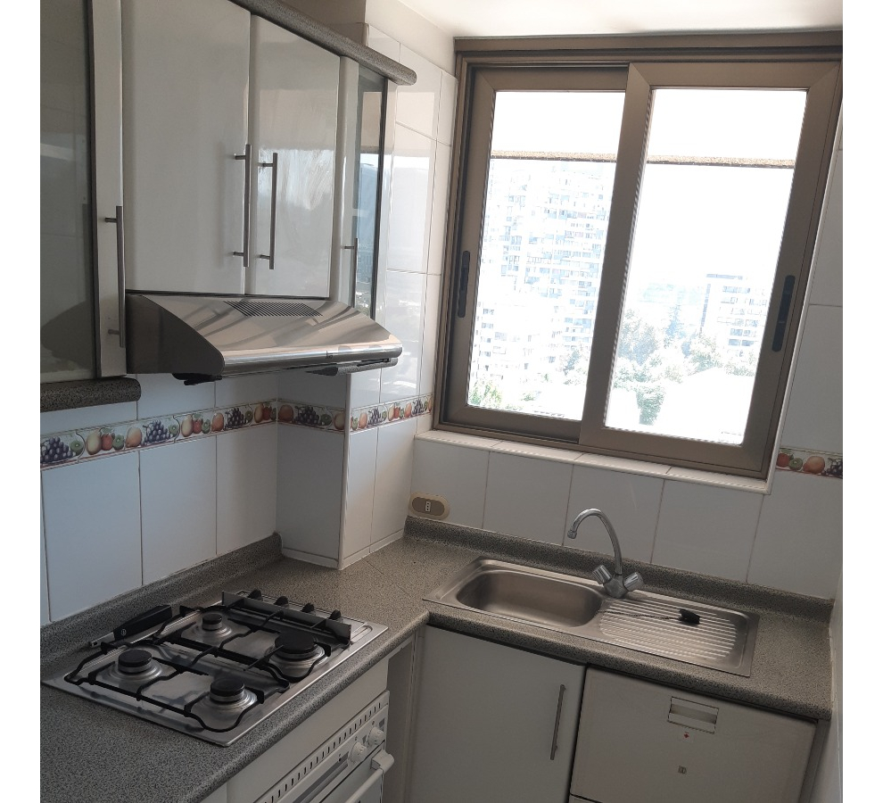 Venta Departamento NO 1D en suite Walk-in cl&oacute;set 1B 1E 1B Manuel Montt - Providencia