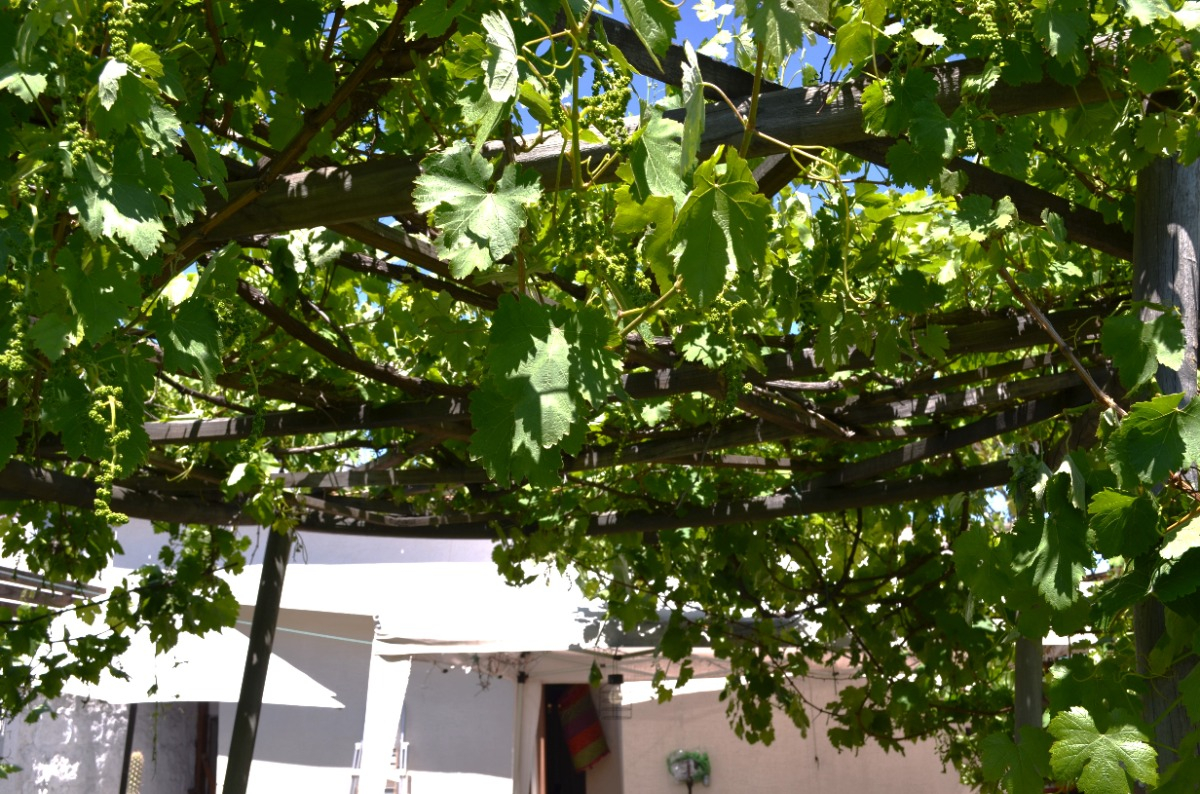 Venta Casa SP 3D 2B 1E 1B Col&oacute;n Oriente - Vital Apoquindo - Las Condes