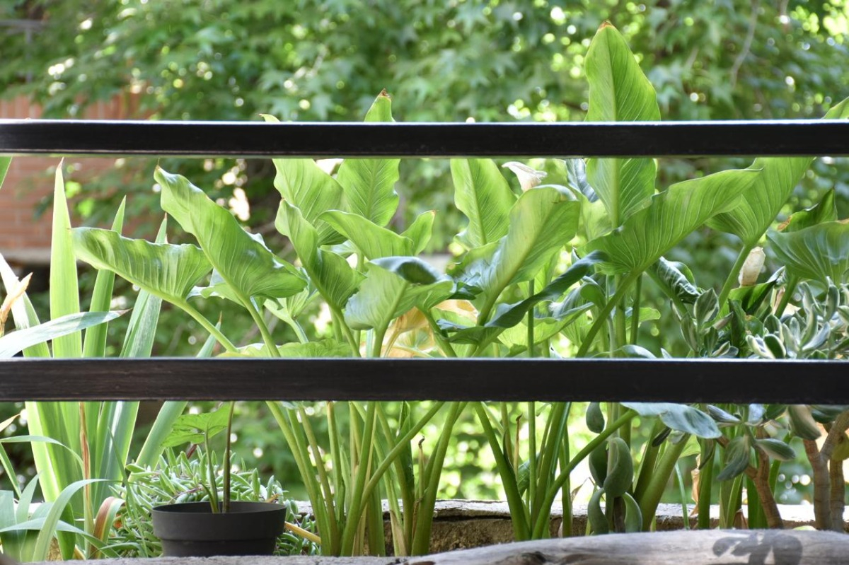 Venta Departamento NP 3D 2B 1E 1Bd Las Lilas - Providencia