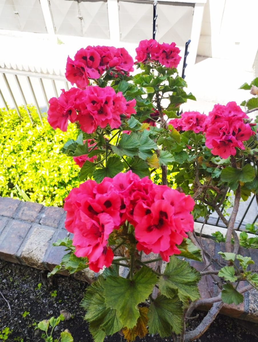 Venta Departamento 3D Parque Bicentenario - Vitacura