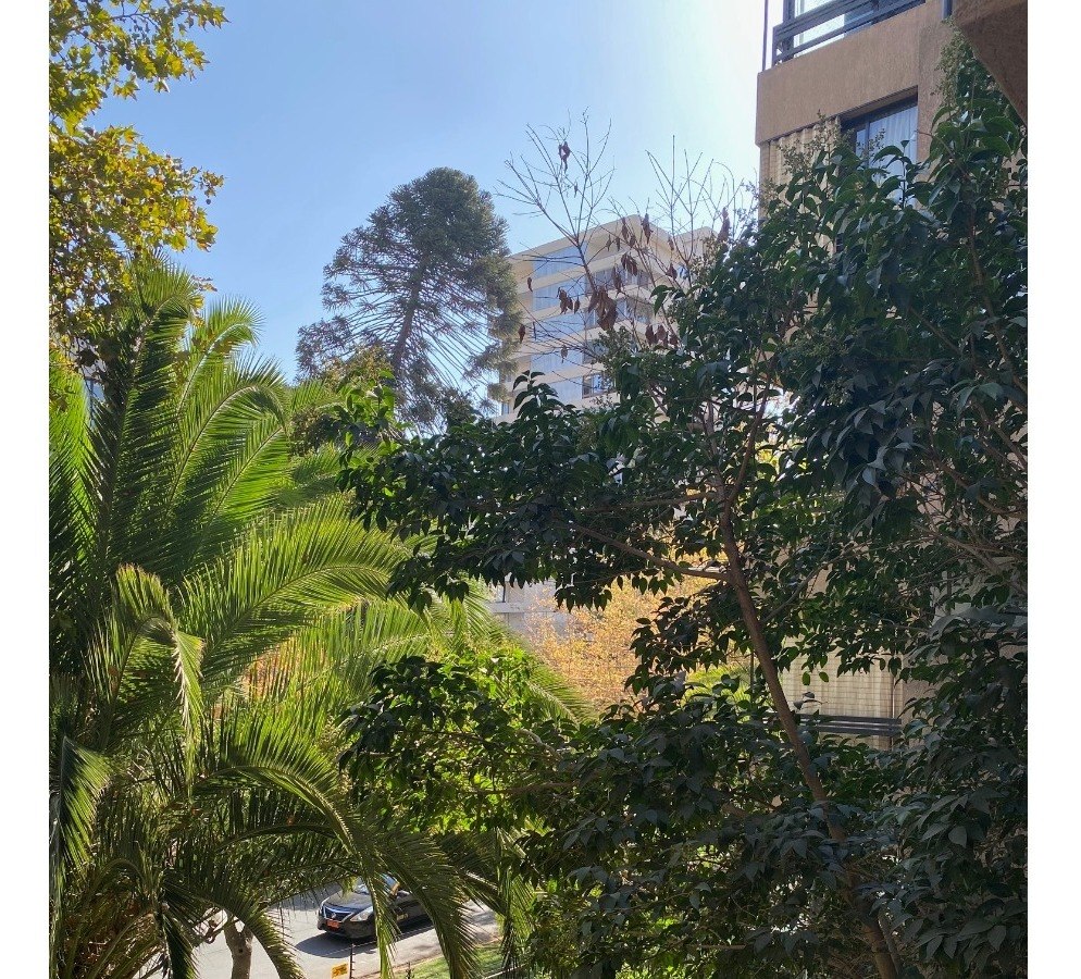 Venta Departamento 3D en suite Walk-in cl&oacute;set 3B 2E 1B Metro Tobalaba - Mall Costanera - Providencia