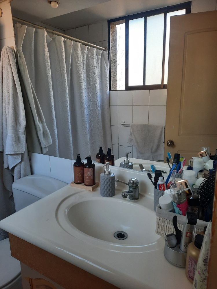 Venta Departamento 2D 2B 1E In&eacute;s de Su&aacute;rez - Providencia