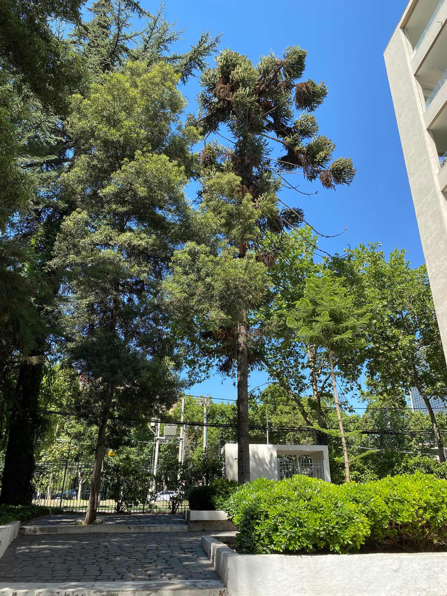 Venta Departamento 2D 2B 2E Parque Bicentenario - Vitacura