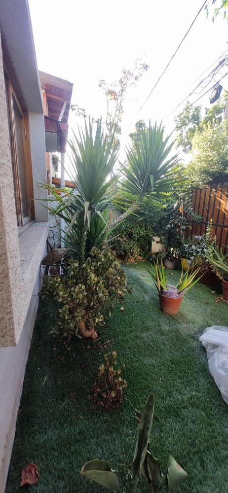Arriendo Casa NO 3D en suite 2B 2E 1B Pepe Vila - La Reina