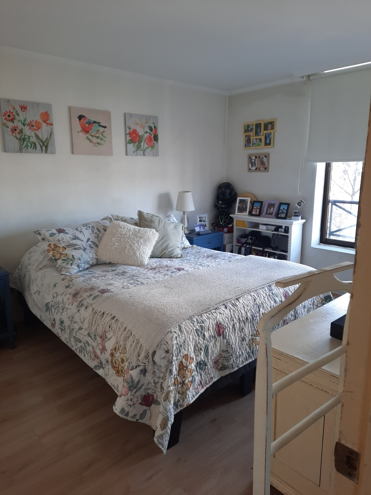 Venta Departamento 2D 2B 1E In&eacute;s de Su&aacute;rez - Providencia