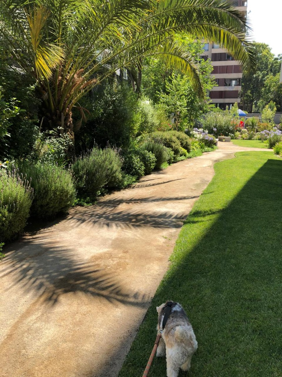 Venta Departamento SO 2D en suite Walk-in cl&oacute;set 2B 1E 1B In&eacute;s de Su&aacute;rez - Providencia