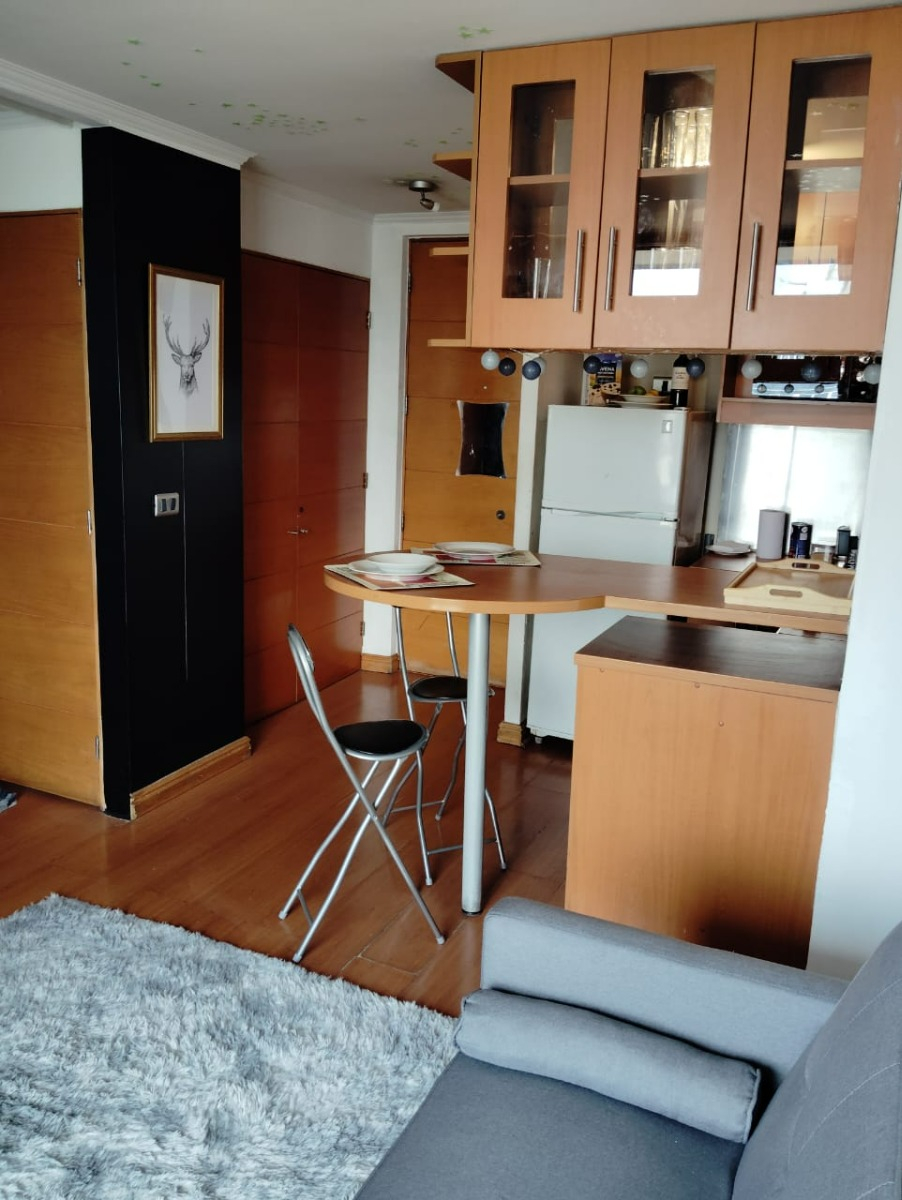 Venta Departamento 1D  - Providencia