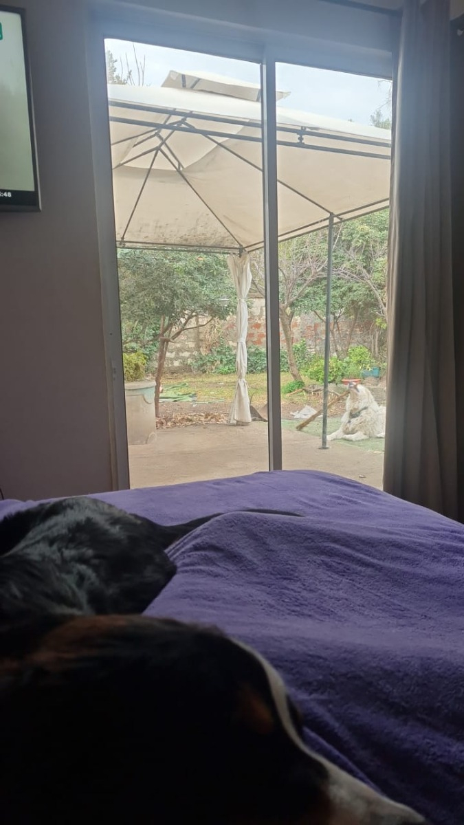 Venta Casa N 6D Walk-in cl&oacute;set 4B 3E 1B Estadio Nacional - &Ntilde;u&ntilde;oa