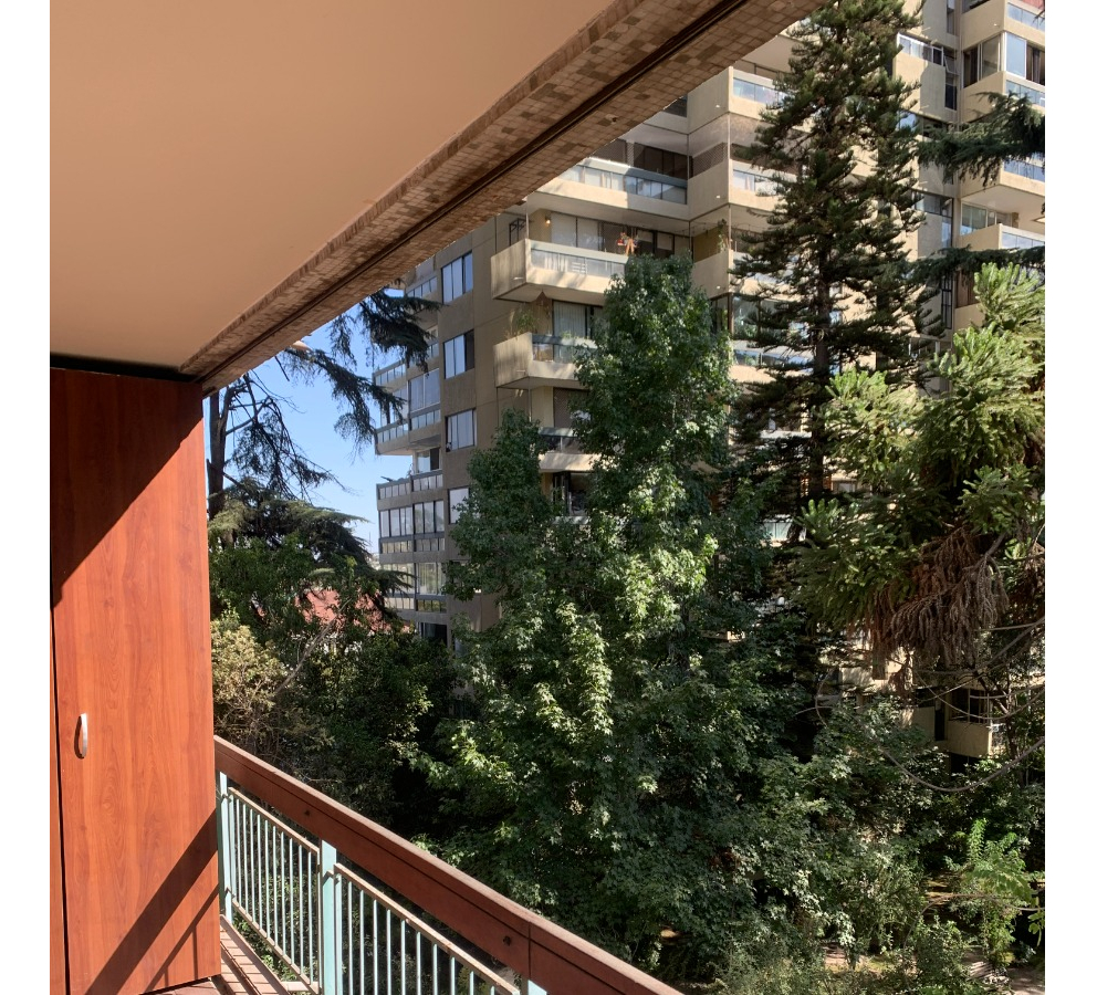 Arriendo Departamento NP 2D 2B 1E In&eacute;s de Su&aacute;rez - Providencia