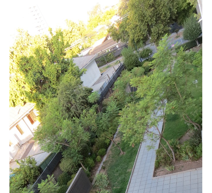 Venta Departamento NO 2D Walk-in cl&oacute;set 2B 1E Estadio Nacional - &Ntilde;u&ntilde;oa