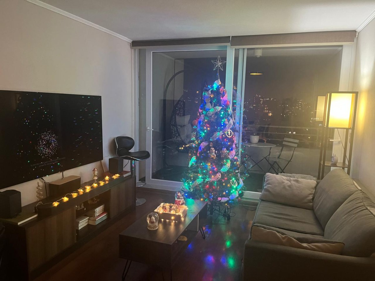 Arriendo Departamento 2D 2B 1E 1B In&eacute;s de Su&aacute;rez - Providencia