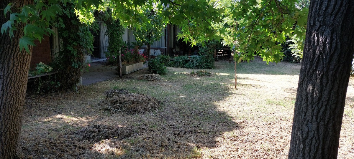 Venta Casa NO 6D en suite 3B 4E 1B Juan XXIII - Vitacura