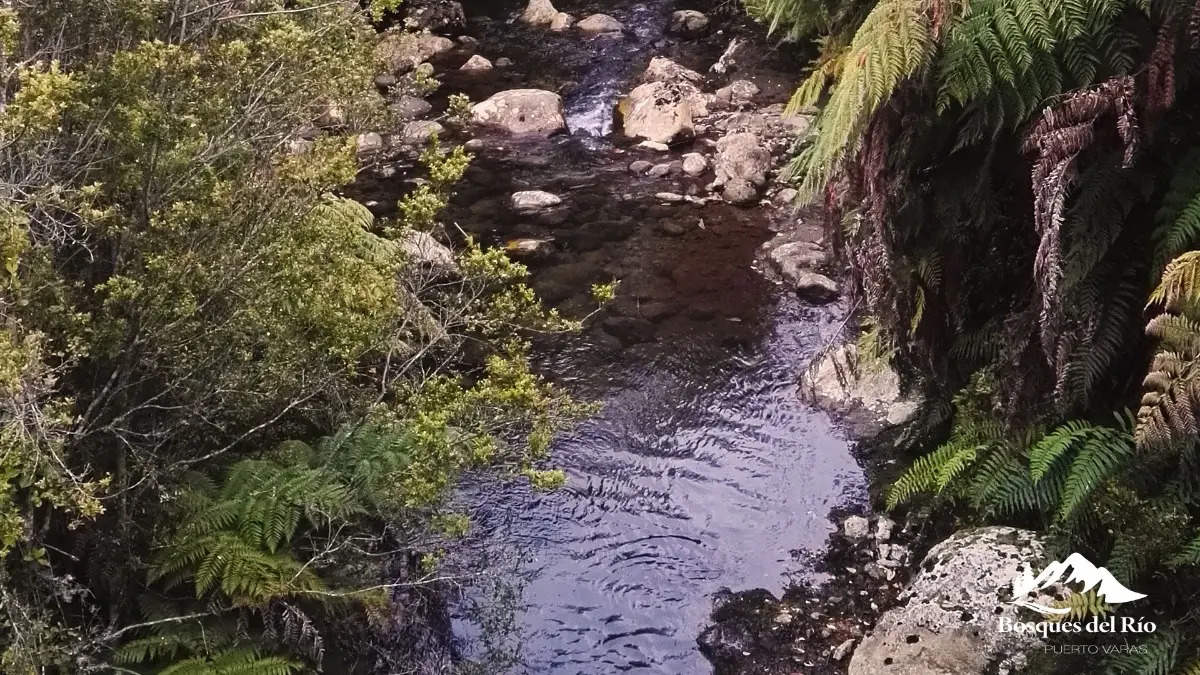 Parcela Bosque Nativo y R&iacute;o con Rol propio 5000m - Puerto Varas