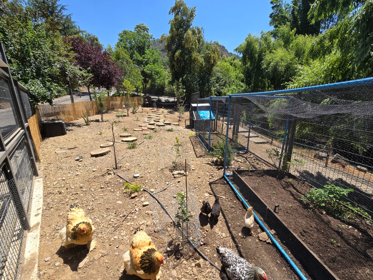 Venta Casa 5D en suite Walk-in cl&oacute;set 5B 2E 2B El Array&aacute;n - Lo Barnechea